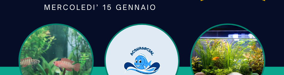 live acquasocial gestione dell'acquario