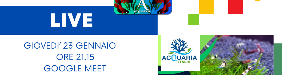 live acquasocial con Danireef su Acquaria Italia