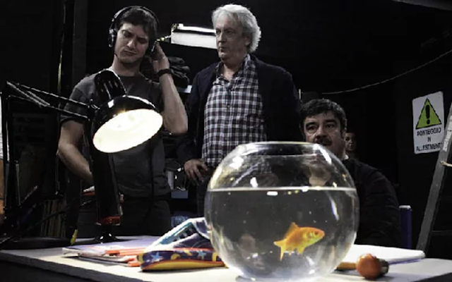 pesce nella boccia: prima di avviare un acquario